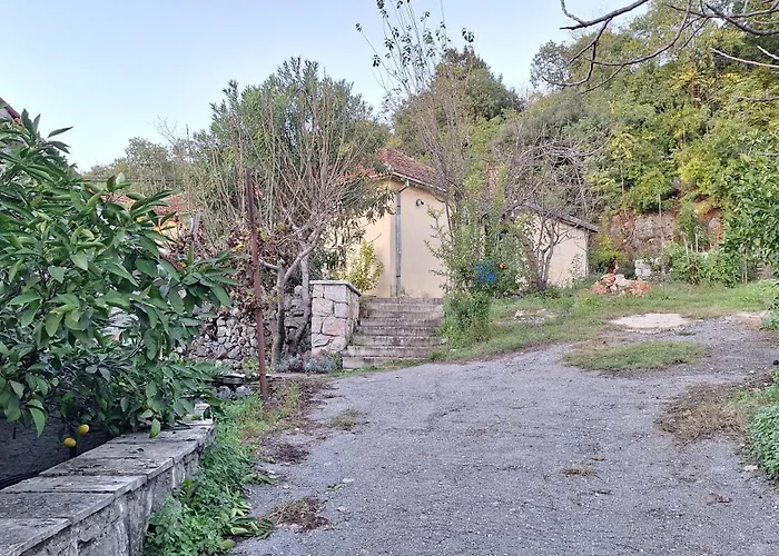 Old But Gold House